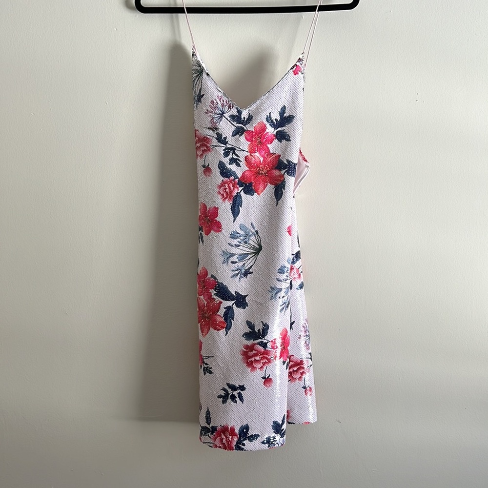 Endless Rose Slip dress from urban outfitters